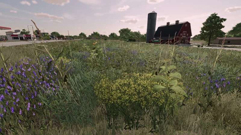 New Oil Radish v1.0 FS22