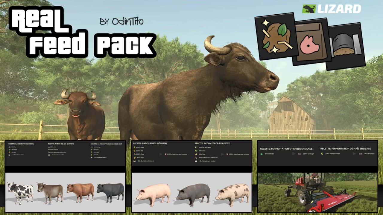 Real Feed Pack v1.2