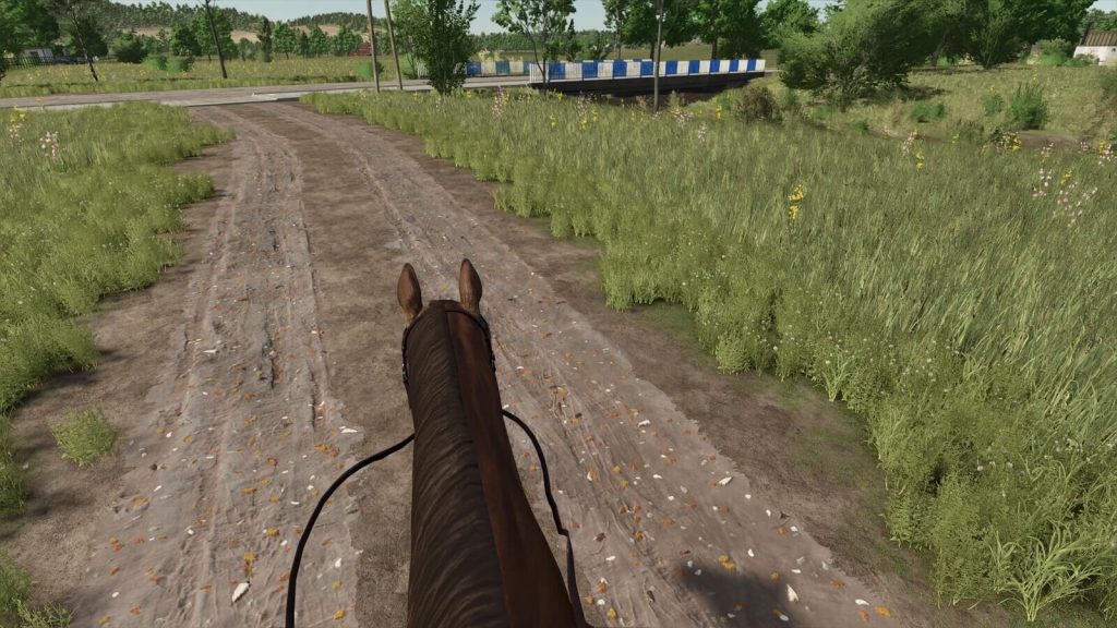 First Person Horse Riding Camera v1.0