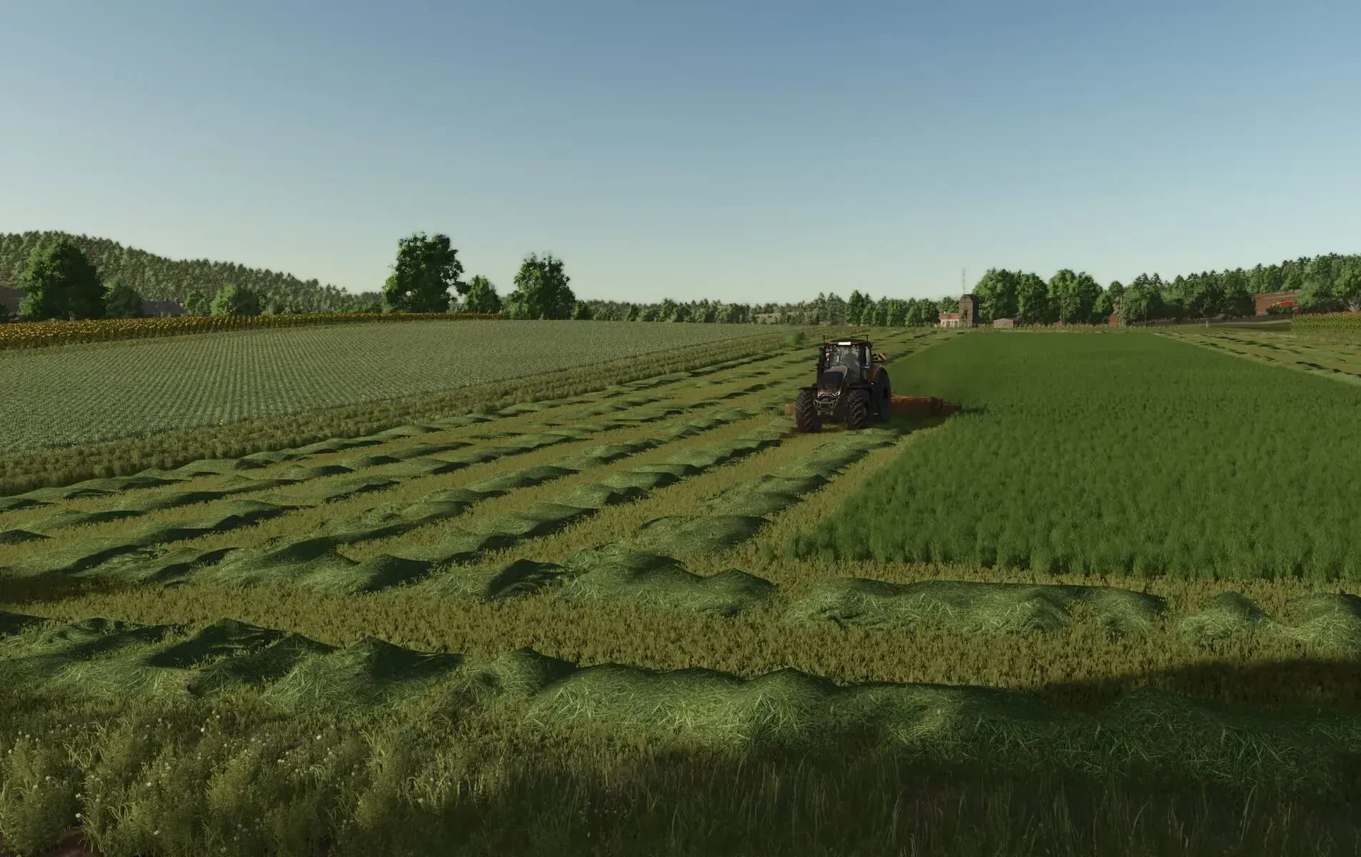 Grass Texture V1.0.1